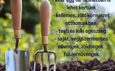 Urban Mind Gardening